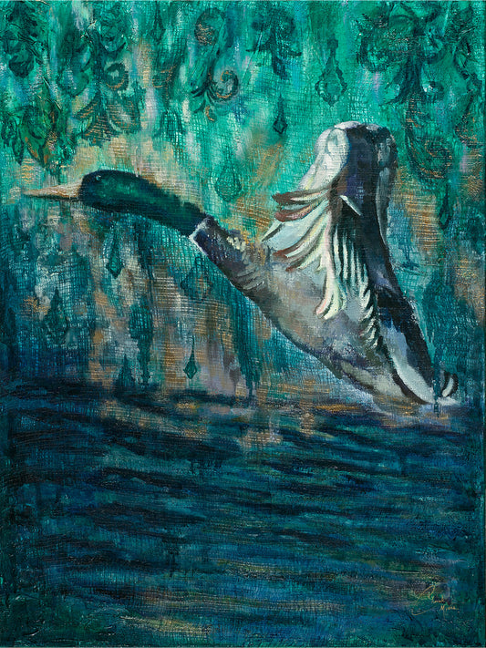 Illumination Taking Flight