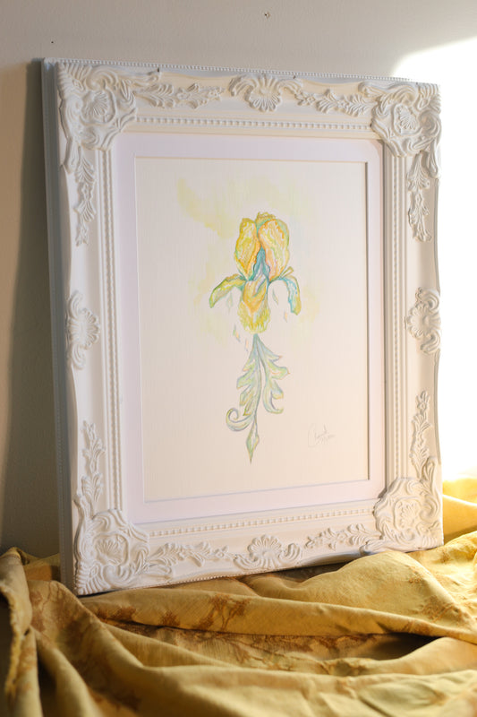 Seasons of Light and Miracles: Hope in the Transition from Spring to Summer